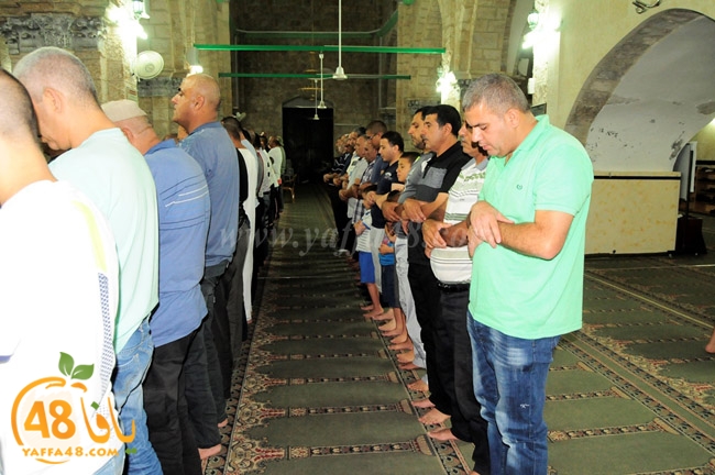 trawe7 ramla kaber (5).JPG